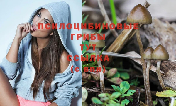 хмурый Балахна